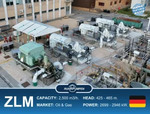 ZLM Ruhrpumpen Pumps