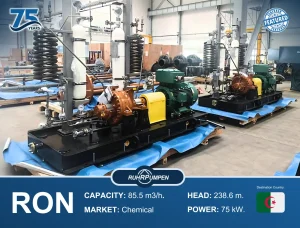 Ruhrpumpen RON pump China Project