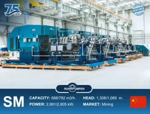 Ruhrpumpen SM Pumps - China Project