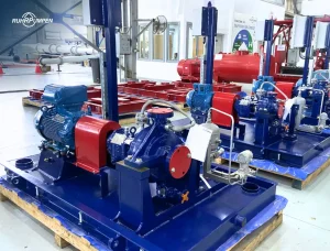 SCE Ruhrpumpen Pump Egypt project