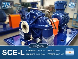 Ruhrpumpen SCE-L pump Arg project