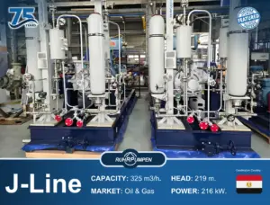 J-Line Ruhrpumpen Pump Egypt Project