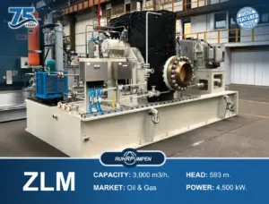 Ruhrpumpen ZLM Pump Oil & Gas project